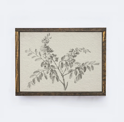 Botanical Watercolour Vintage-Inspired Painting