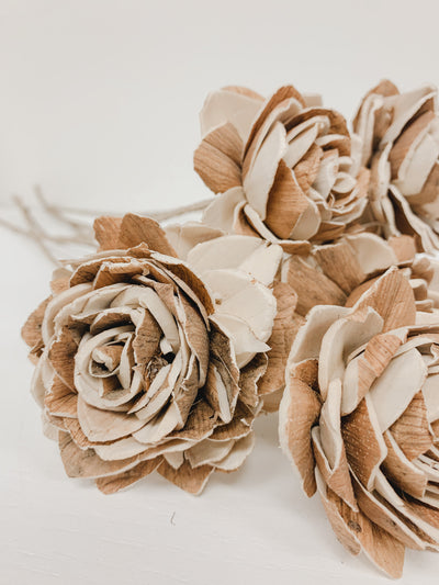 Sola Roses | Large