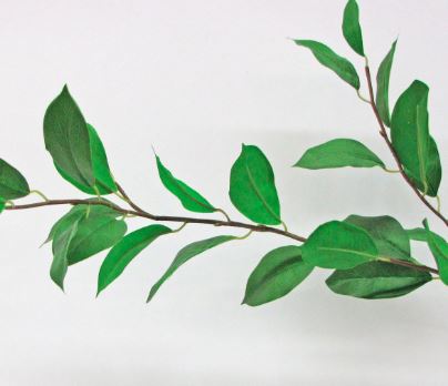 Laurel Leaves Stem | Faux