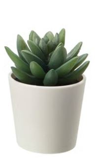 Faux Succulent | 4"