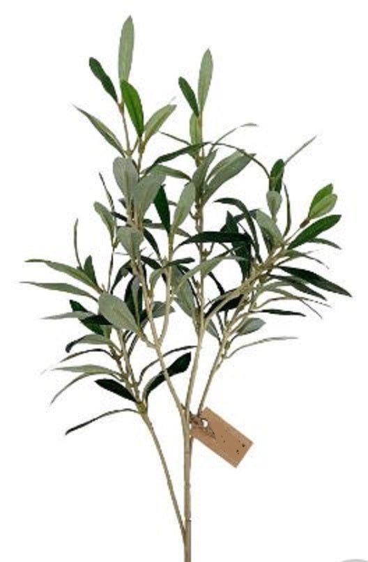 Olive Stem | 19.5"