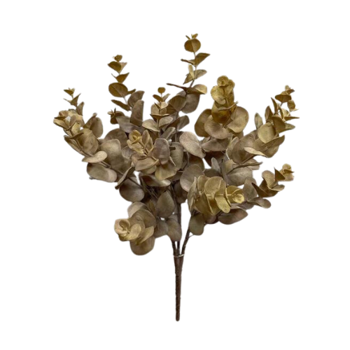 Light Brown Eucalyptus Bush