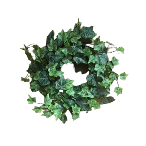 Frosted Green English Ivy Wreath