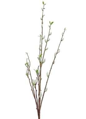 Pussy Willows | Faux