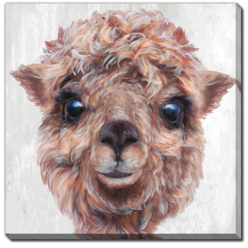 Alpaca III Canvas