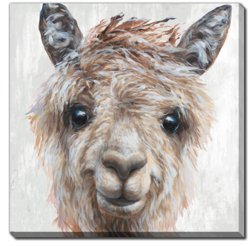 Alpaca II Canvas