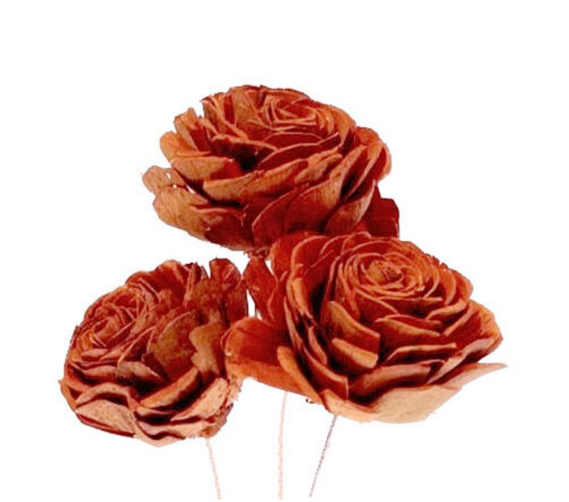 Sola Roses | Small