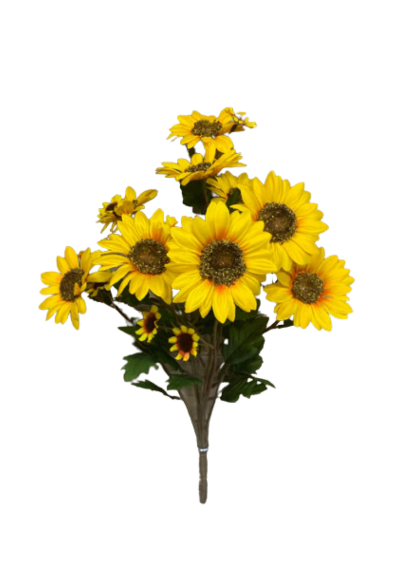 Assorted Sunflower Bush