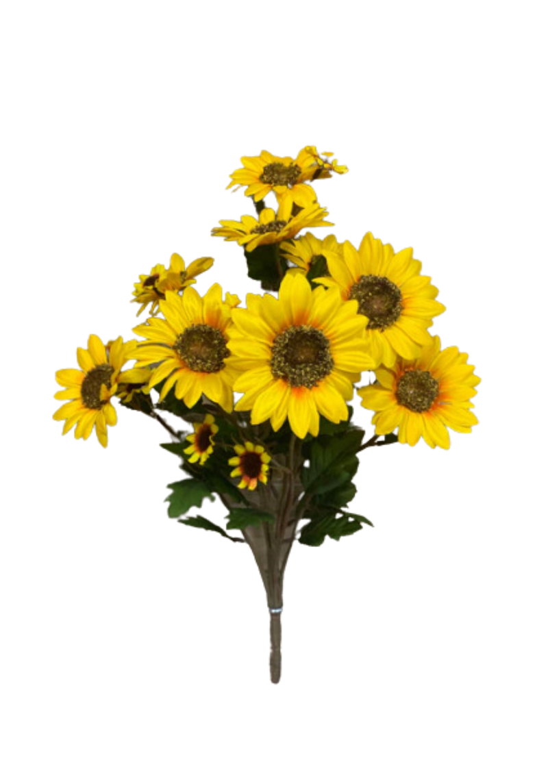 Sunflower Bush