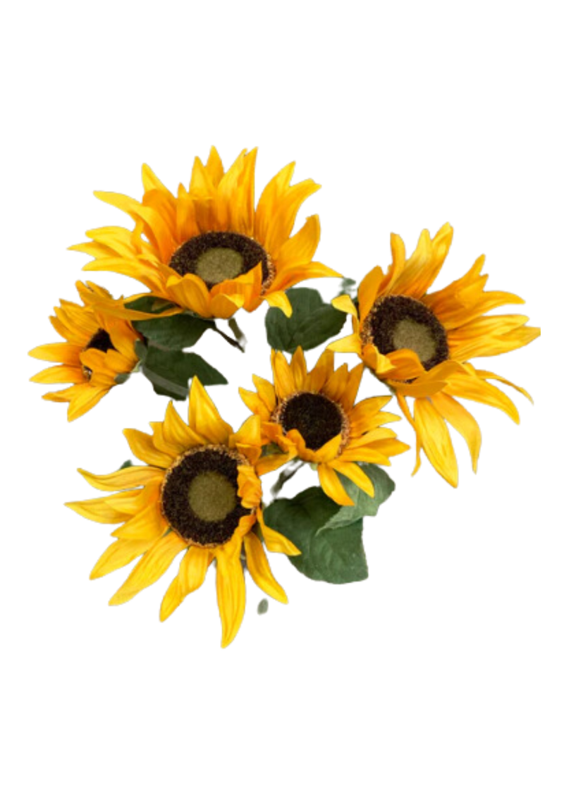 Sunflower Bush of 5