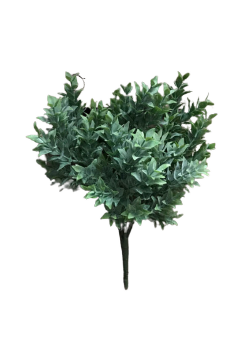 Tea Leaf Bush | Green