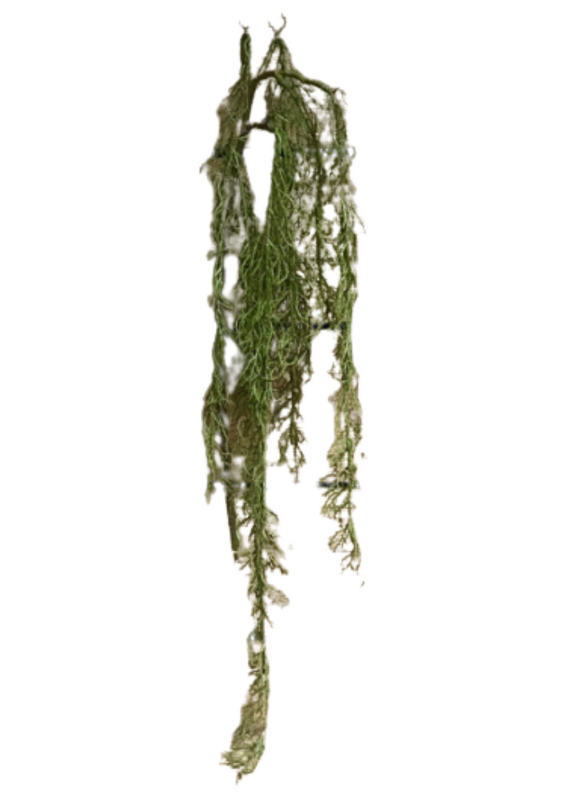 Willow Hanging Spray