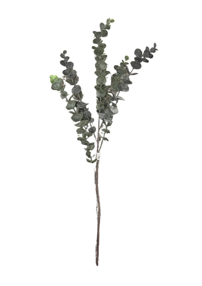 Blue Green Eucalyptus Spray Stem