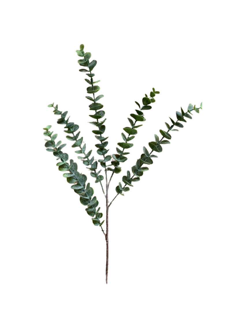 Green Eucalyptus Spray Stem