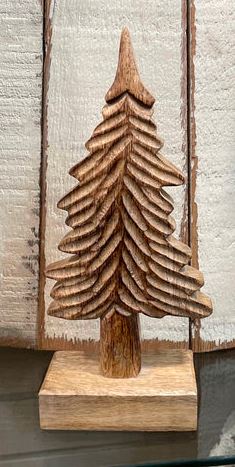 Natural Mango Wood Tree on Stand