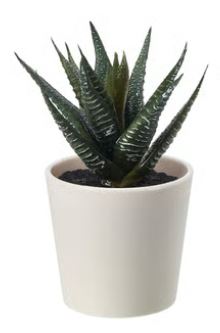 Faux Succulent | 4"