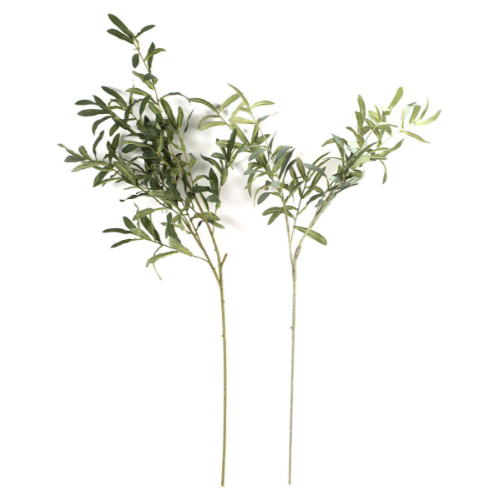 Olive Branch | 39"
