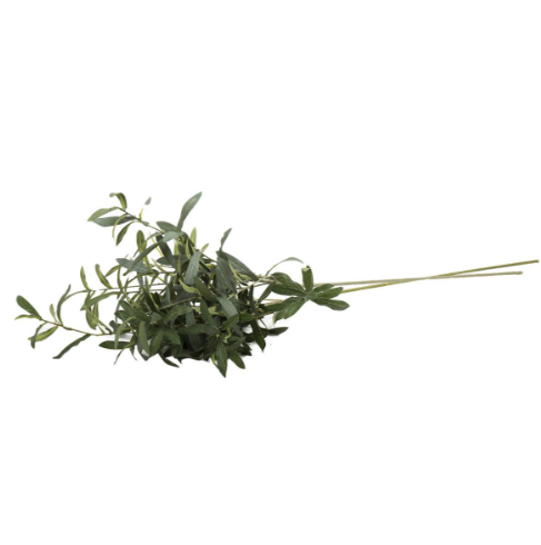 Olive Branch | 39"