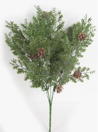Cedrus Pine with Cones Bundle | 18"