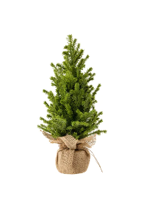 Faux Cedar Tabletop Tree