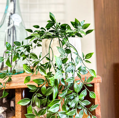 Faux Hanging Ivy