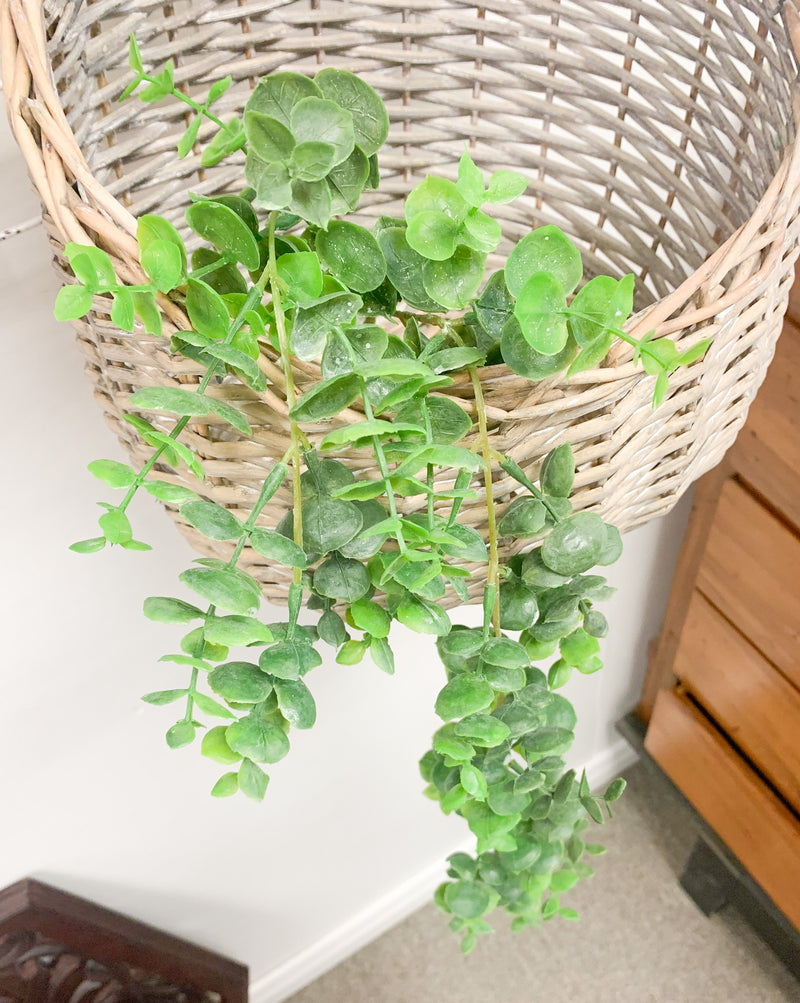 Faux Eucalyptus Vine