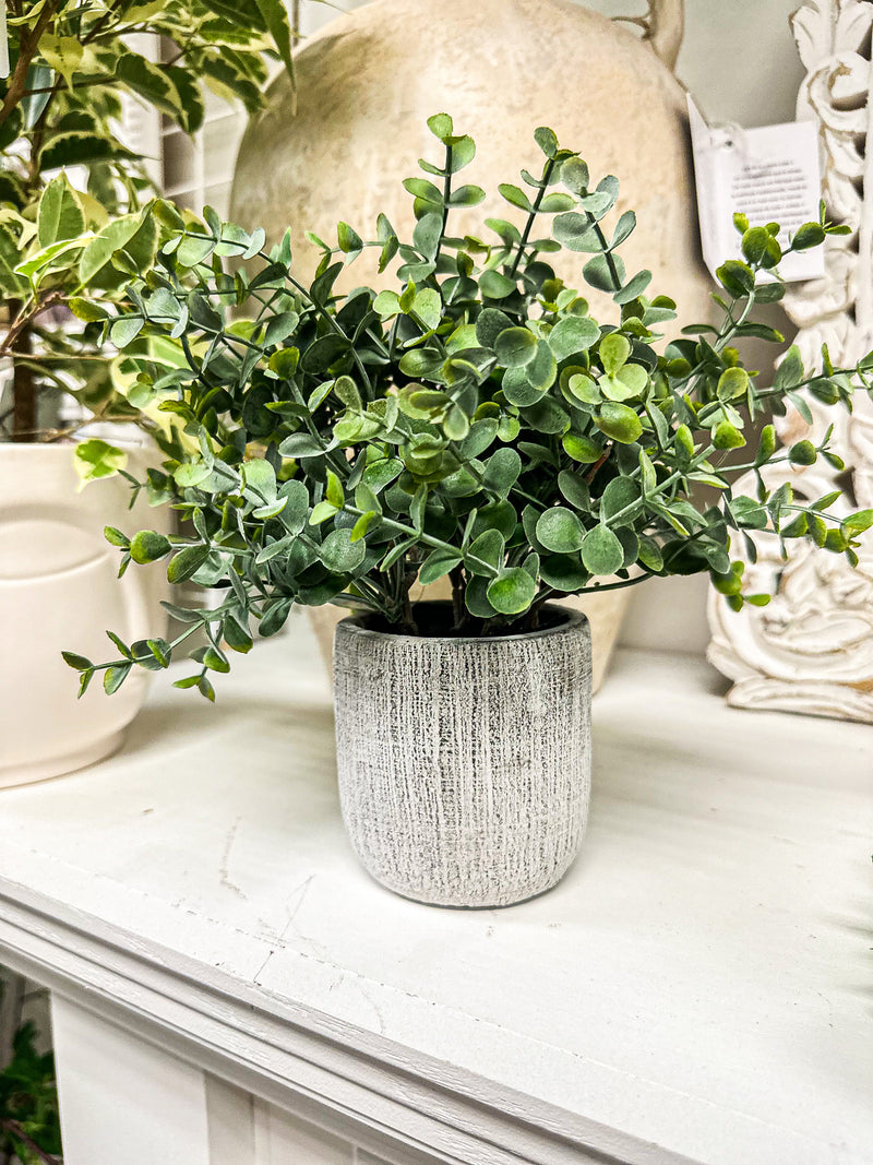 Faux Eucalyptus Bush in Cement Pot | 9"
