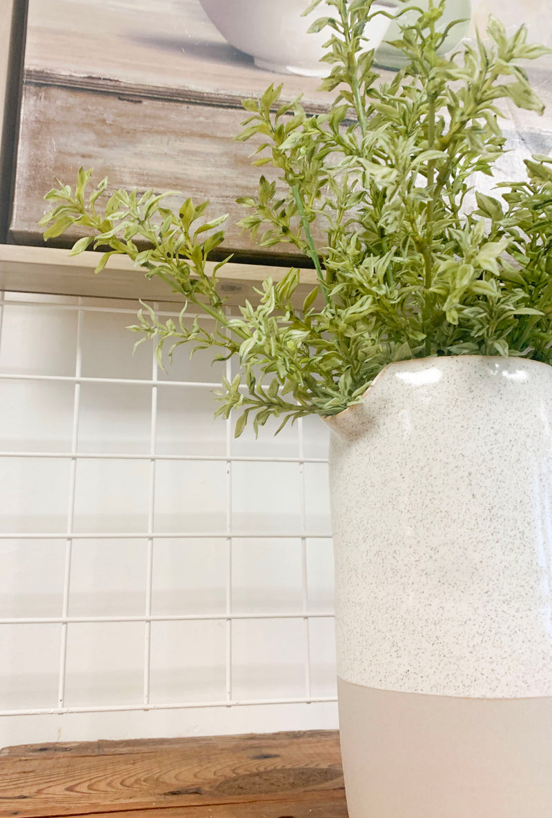 Tea Leaf Bush | 19"
