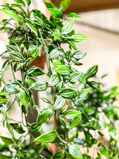Faux Hanging Ivy