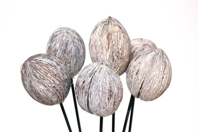 Mintola Balls | Bundle of 6 Stems