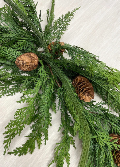 Fresh Touch Norfolk Pine & Sequoia Cypress Swag | 60"