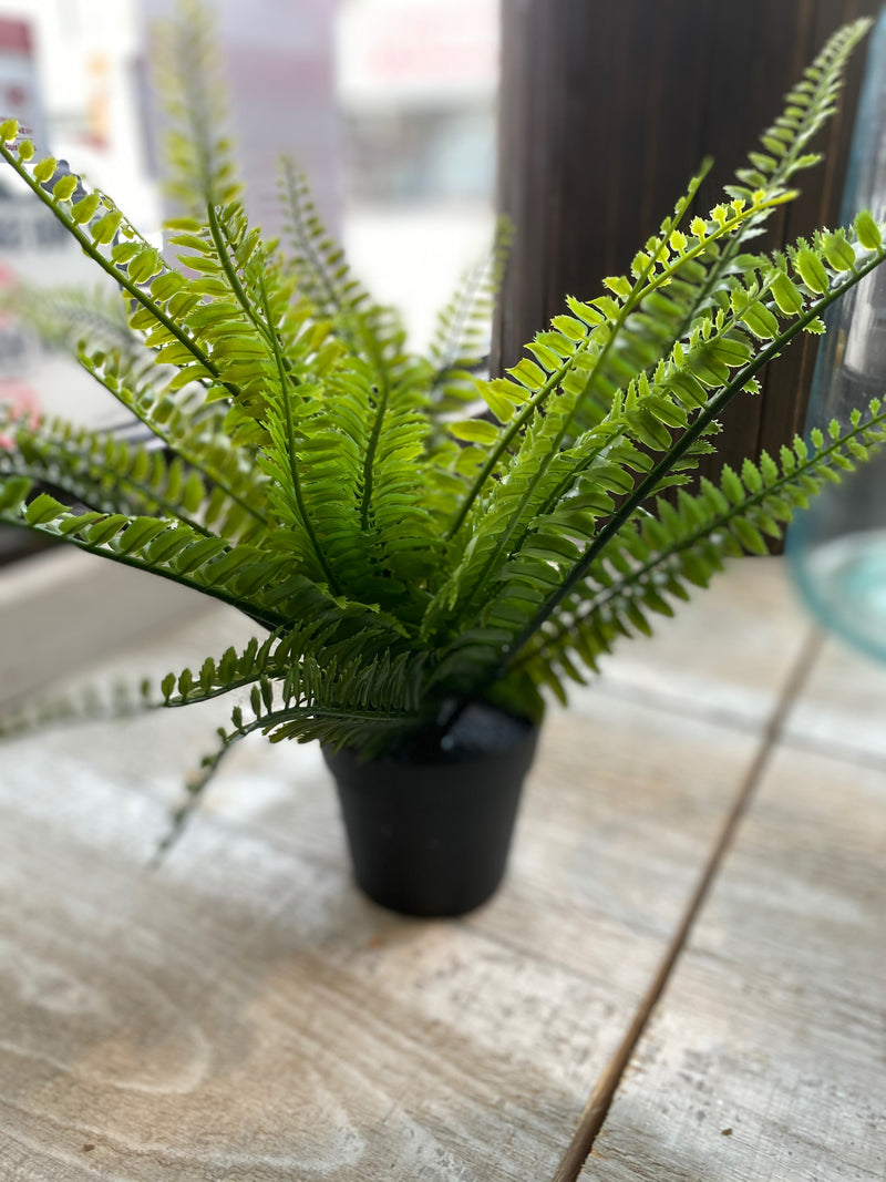 Faux Fern Indoor/Outdoor