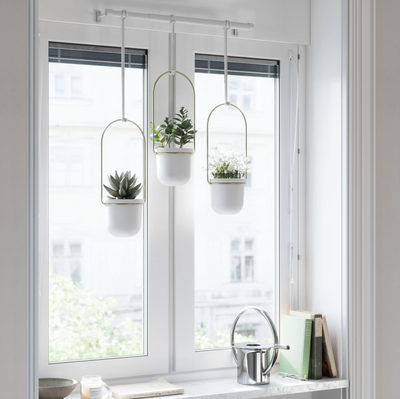 Umbra Triflora Hanging Planter