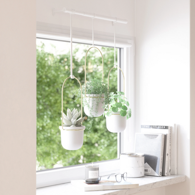 Umbra Triflora Hanging Planter