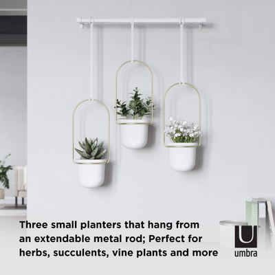 Umbra Triflora Hanging Planter