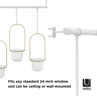 Umbra Triflora Hanging Planter