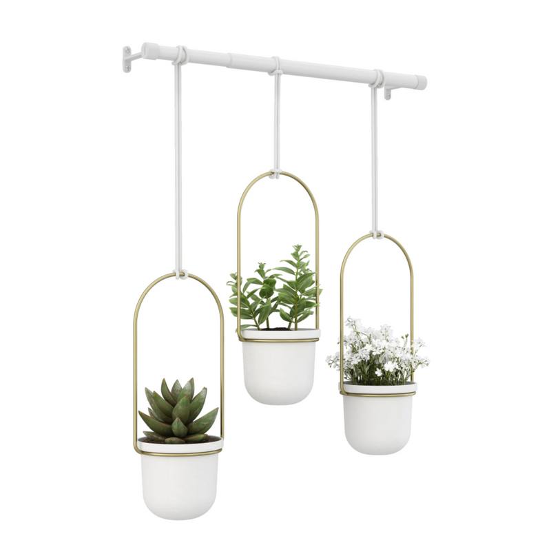 Umbra Triflora Hanging Planter