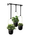 Triflora Hanging Planter