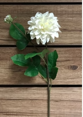 Dahlia Stem | 29"