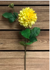 Dahlia Stem | 29"