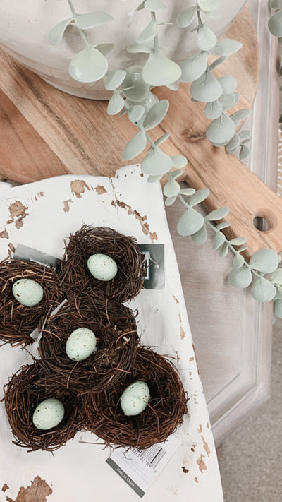 Robin Egg Birds Nest