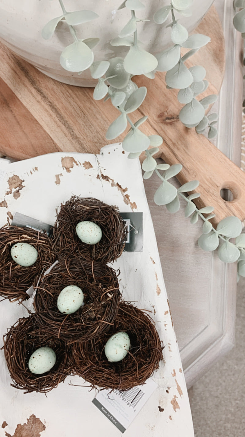 Robin Egg Birds Nest
