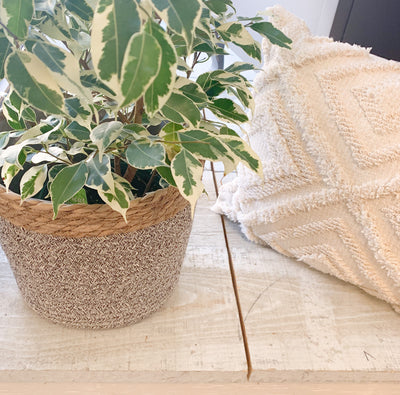 Grey and Jute Planter Baskets