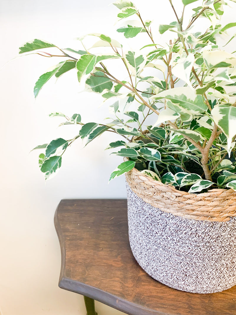 Grey and Jute Planter Baskets