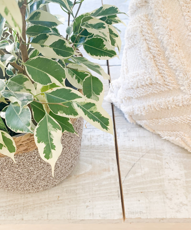 Grey and Jute Planter Baskets