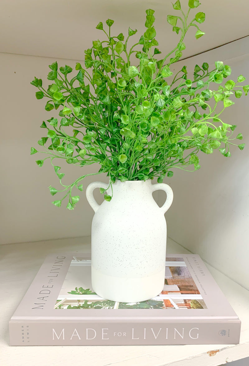 Faux Baby Tears Bush