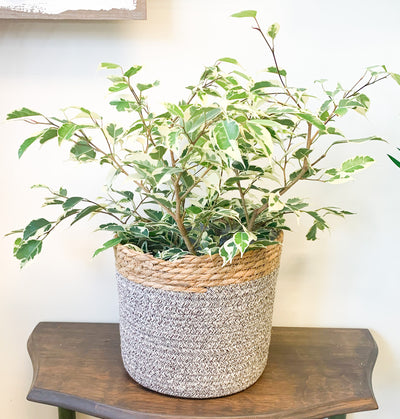 Grey and Jute Planter Baskets