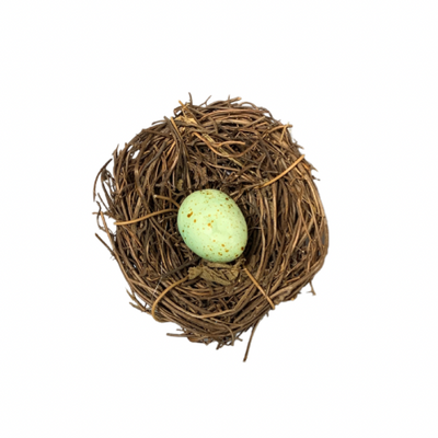 Robin Egg Birds Nest