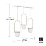 Triflora Hanging Planter