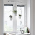 Triflora Hanging Planter